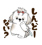 シーズー犬 2025 「広島弁」（個別スタンプ：25）