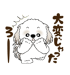 シーズー犬 2025 「広島弁」（個別スタンプ：26）