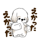 シーズー犬 2025 「広島弁」（個別スタンプ：29）