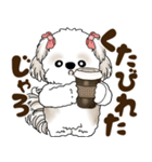 シーズー犬 2025 「広島弁」（個別スタンプ：30）
