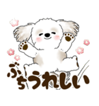 シーズー犬 2025 「広島弁」（個別スタンプ：31）
