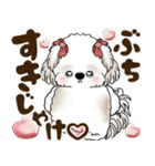 シーズー犬 2025 「広島弁」（個別スタンプ：32）