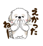 シーズー犬 2025 「広島弁」（個別スタンプ：33）