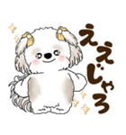 シーズー犬 2025 「広島弁」（個別スタンプ：34）