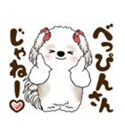 シーズー犬 2025 「広島弁」（個別スタンプ：37）