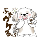 シーズー犬 2025 「広島弁」（個別スタンプ：38）
