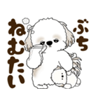 シーズー犬 2025 「広島弁」（個別スタンプ：39）