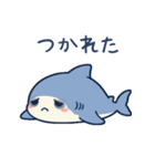 ひらがなのサメたち（個別スタンプ：6）