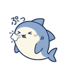ひらがなのサメたち（個別スタンプ：24）