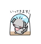 チワプーのふうか 日常スタンプ第2弾（個別スタンプ：4）