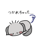チワプーのふうか 日常スタンプ第2弾（個別スタンプ：7）