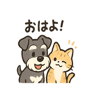 ミニシュナ×トラネコのやり取りスタンプ（個別スタンプ：1）