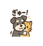 ミニシュナ×トラネコのやり取りスタンプ（個別スタンプ：2）
