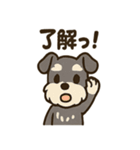 ミニシュナ×トラネコのやり取りスタンプ（個別スタンプ：4）