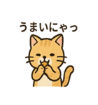 ミニシュナ×トラネコのやり取りスタンプ（個別スタンプ：5）