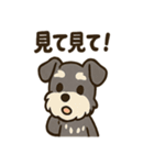 ミニシュナ×トラネコのやり取りスタンプ（個別スタンプ：7）