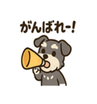 ミニシュナ×トラネコのやり取りスタンプ（個別スタンプ：8）