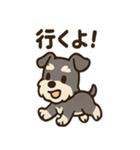 ミニシュナ×トラネコのやり取りスタンプ（個別スタンプ：10）