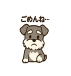 ミニシュナ×トラネコのやり取りスタンプ（個別スタンプ：13）