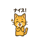 ミニシュナ×トラネコのやり取りスタンプ（個別スタンプ：16）