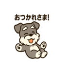 ミニシュナ×トラネコのやり取りスタンプ（個別スタンプ：17）