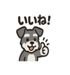 ミニシュナ×トラネコのやり取りスタンプ（個別スタンプ：22）