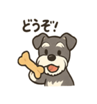 ミニシュナ×トラネコのやり取りスタンプ（個別スタンプ：23）