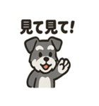 ミニシュナ×トラネコのやり取りスタンプ（個別スタンプ：27）