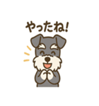 ミニシュナ×トラネコのやり取りスタンプ（個別スタンプ：33）