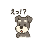 ミニシュナ×トラネコのやり取りスタンプ（個別スタンプ：34）