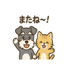 ミニシュナ×トラネコのやり取りスタンプ（個別スタンプ：35）
