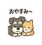 ミニシュナ×トラネコのやり取りスタンプ（個別スタンプ：36）