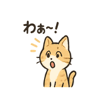 ミニシュナ×トラネコのやり取りスタンプ（個別スタンプ：37）