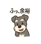 ミニシュナ×トラネコのやり取りスタンプ（個別スタンプ：38）