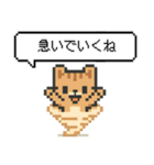 懐かしいドットのネコ（個別スタンプ：24）