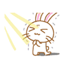 コアーラさん＆フレンズ（個別スタンプ：15）
