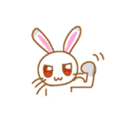 コアーラさん＆フレンズ（個別スタンプ：17）