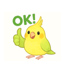 賑やかなインコの日常（個別スタンプ：3）