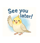 賑やかなインコの日常（個別スタンプ：6）