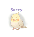 賑やかなインコの日常（個別スタンプ：7）