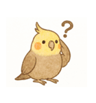 賑やかなインコの日常（個別スタンプ：10）