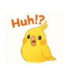 賑やかなインコの日常（個別スタンプ：15）