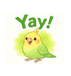 賑やかなインコの日常（個別スタンプ：16）