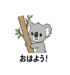 ほっこりコアラの日常スタンプ（個別スタンプ：1）