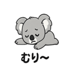 ほっこりコアラの日常スタンプ（個別スタンプ：15）