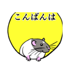 ファンシーラットたちのスタンプ2（個別スタンプ：1）