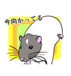 ファンシーラットたちのスタンプ2（個別スタンプ：7）