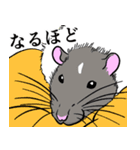 ファンシーラットたちのスタンプ2（個別スタンプ：9）