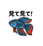 シュールなおさかな日常スタンプ（個別スタンプ：13）