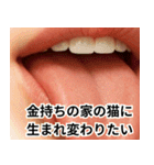 ⚫おしゃべりな口で日常会話 (ウザイ/キモイ（個別スタンプ：35）